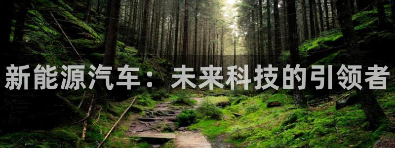 新宝gg直：新能源汽车：未来科技的引领者