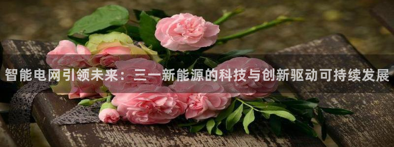 新宝gg信息：智能电网引领未来：三一新能