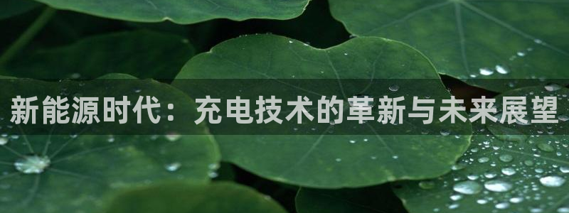 新宝gg靠谱吗：新能源时代：充电技术的革