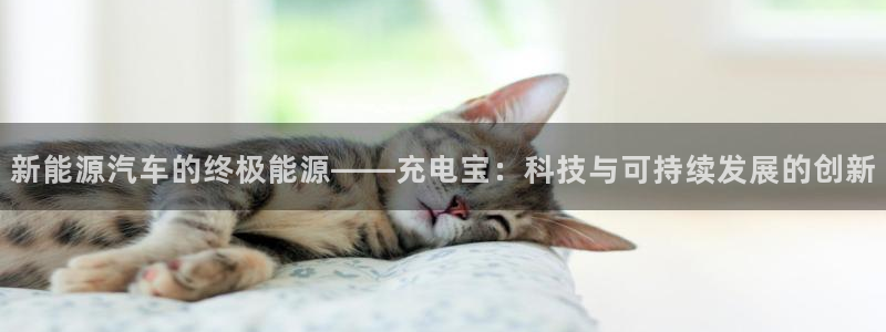 新宝gg画：新能源汽车的终极能源——充电