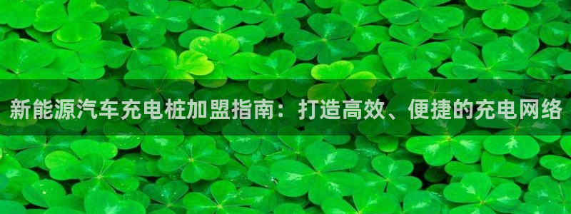 新宝gg dx-gg.cn:新能源汽车充电桩加盟指南:打造高