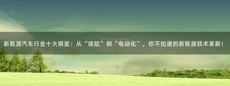 新宝gg平台反水：新能源汽车行业十大明星