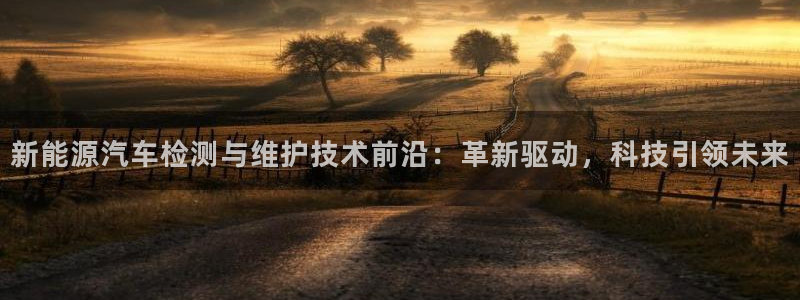 新宝gg有假吗：新能源汽车检测与维护技术