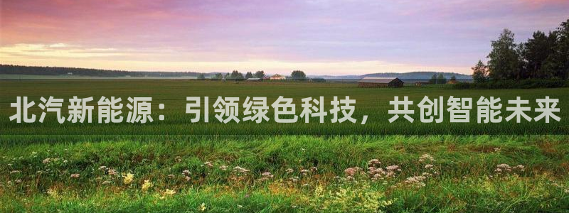 新宝gg试玩：北汽新能源：引领绿色科技，