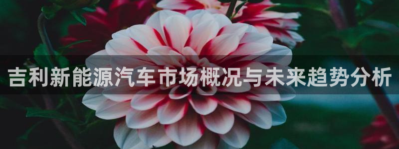 新宝gg样：吉利新能源汽车市场概况与未来