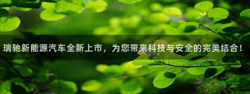 新宝gg博客：瑞驰新能源汽车全新上市，为