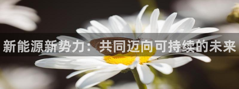 新宝gg 502：新能源新势力：共同迈向