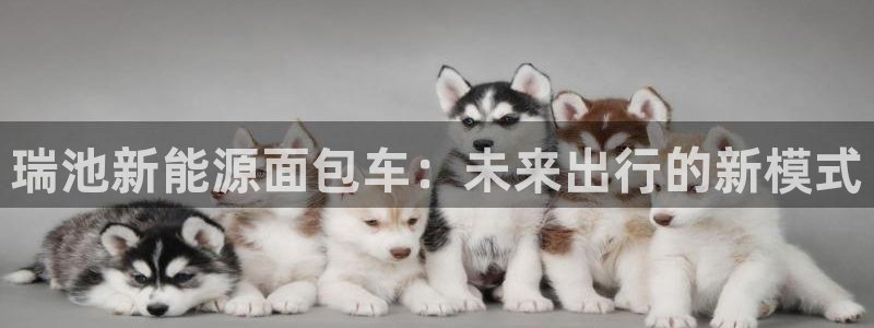 新宝gg首页:瑞池新能源面包车:未来出行的新模式