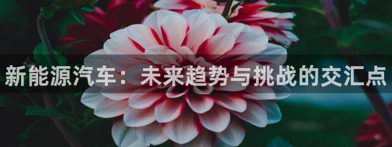 新宝gg重：新能源汽车：未来趋势与挑战的